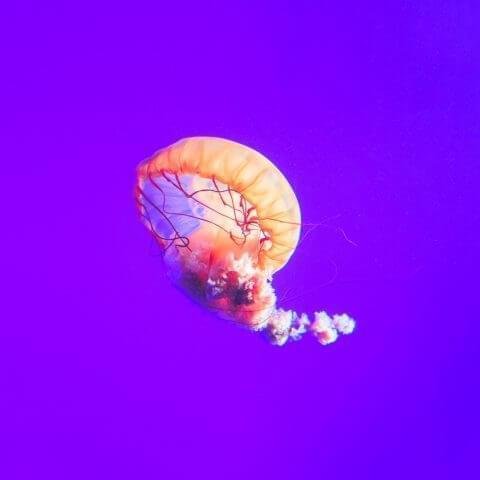 تصاویر نمونه کار ها