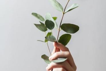 قالب چند منظوره