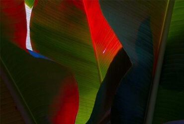 تصاویر نمونه کار ها