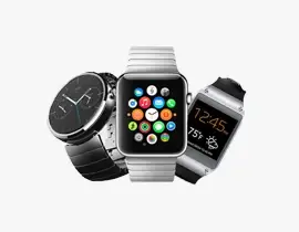 Portable Electronics